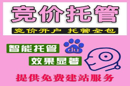 成功案例解析：SEM代运营机构助力企业增长